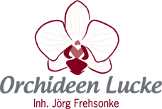 Zur Startseite gehen