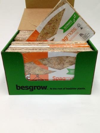 Chile Sphagnum Moos