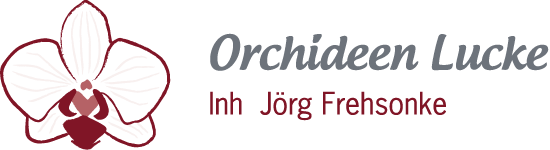 Zur Startseite gehen