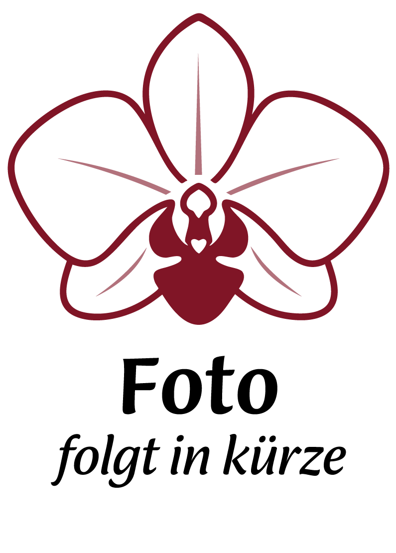 Odm. Hambüren Gold "Rolf" x Odtc. Tiger Hamb "Mike